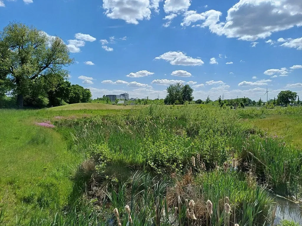 Blick Richtung Castrop-Cauxel über das Emscherland