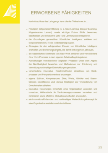 Zertifikat Lehrgang „Innovation Consultant“ S. 2