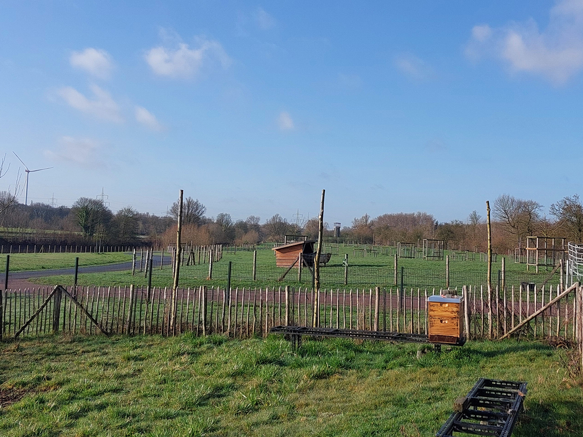 Drei Stangen für die Zukunft: Wenn im Emscherland Vielfalt wurzelt