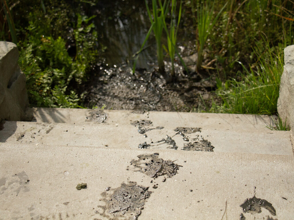 Matschspuren aus dem Bach auf den Treppenstufen am Ufer